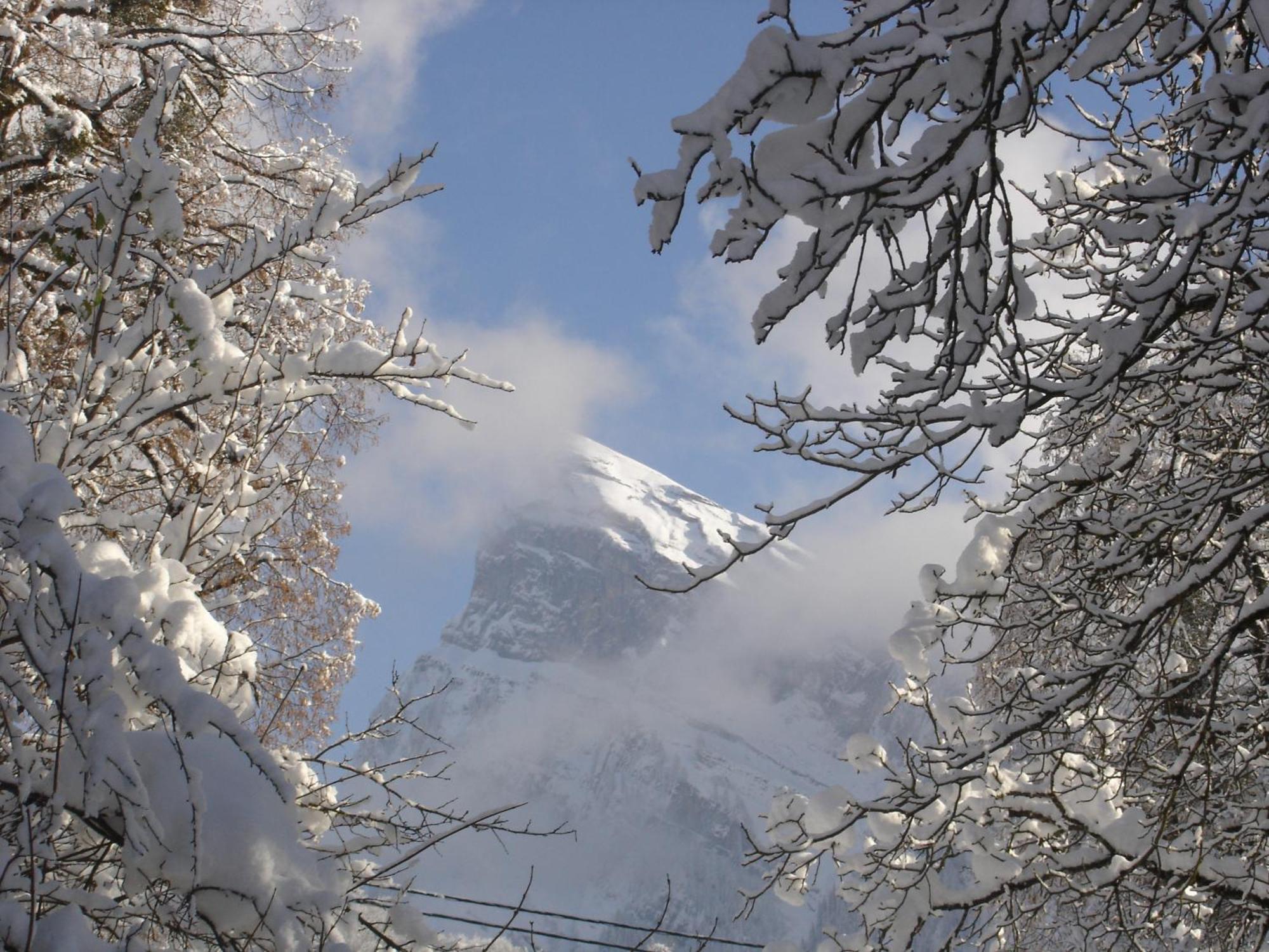 Hotel Edelweiss Samoëns Exterior foto