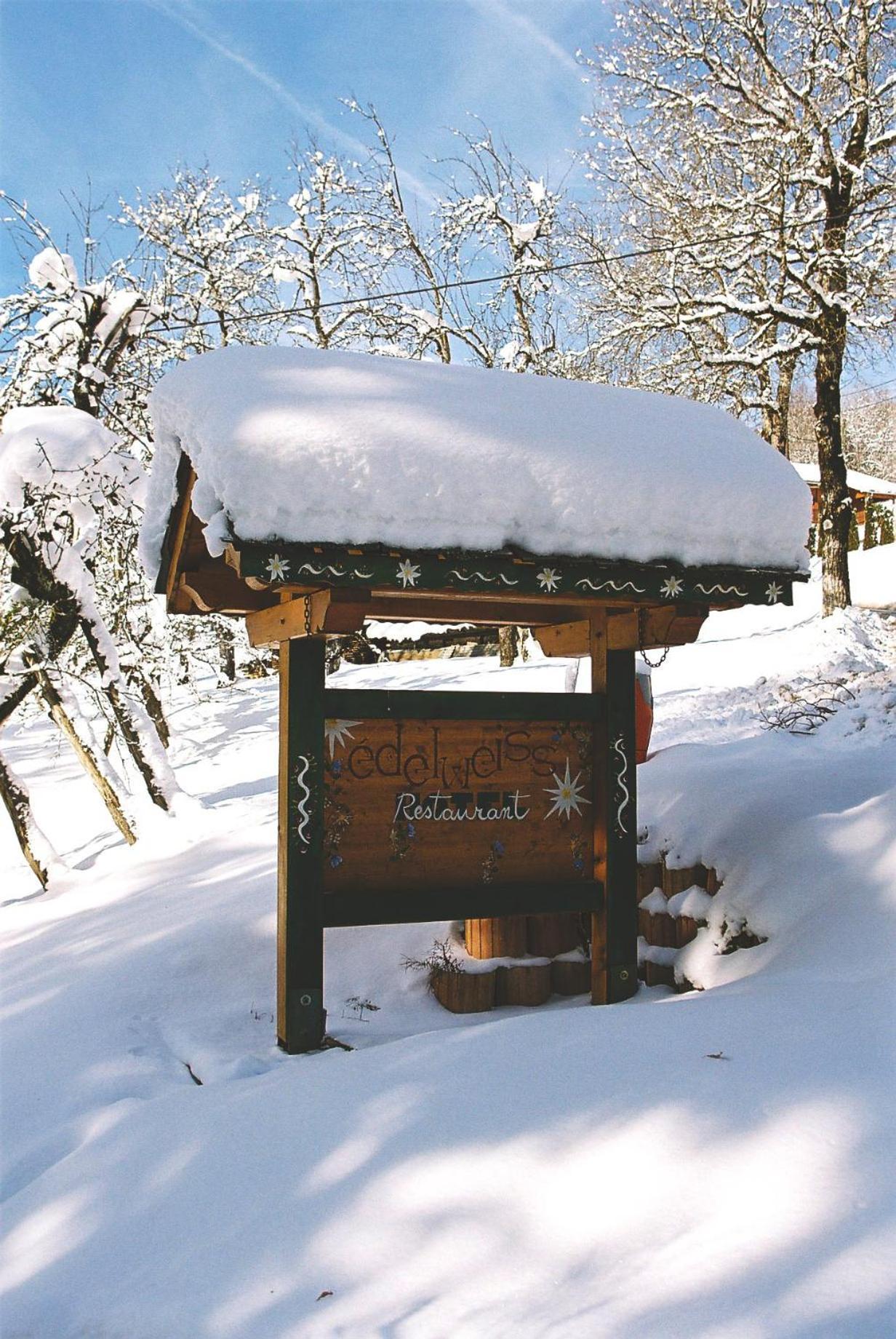 Hotel Edelweiss Samoëns Exterior foto